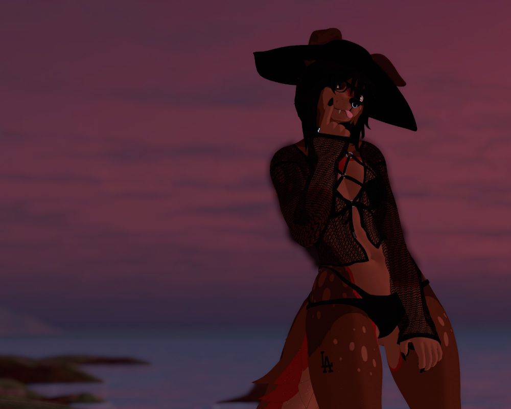 stupid dumbass vampire dog on da beach