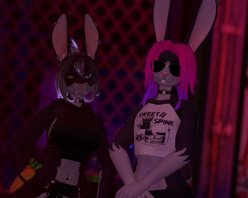 stupid fucking bunny with her slightly more stupid fucking sister (but cool)