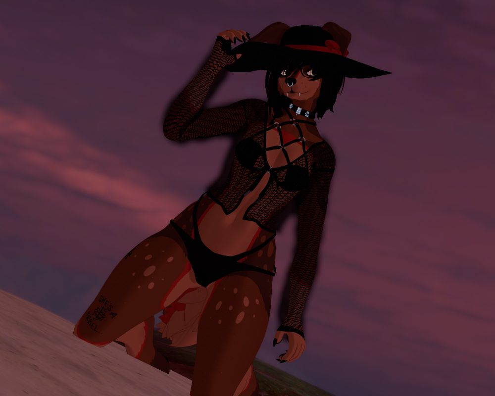 stupid dumbass vampire dog on da beach