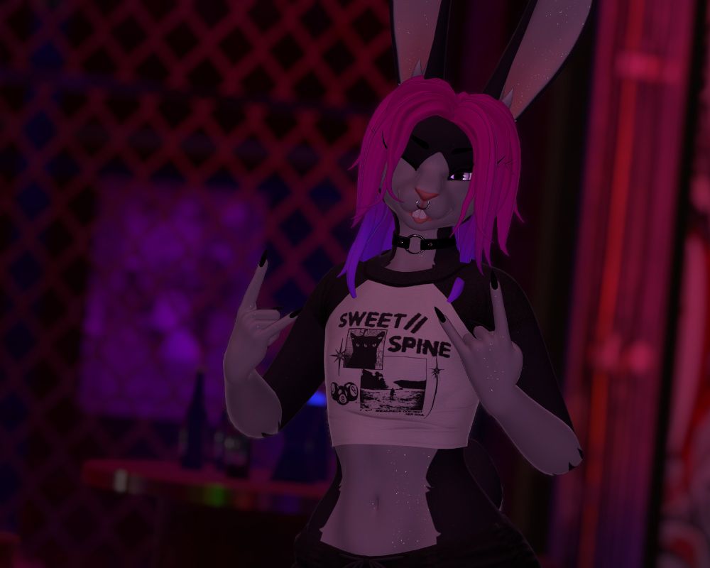 stupid fucking bunny