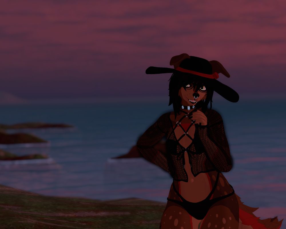 stupid dumbass vampire dog on da beach