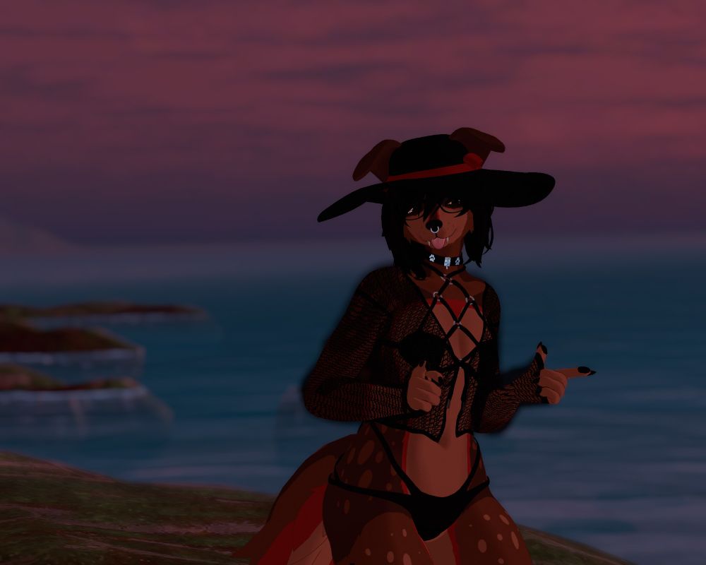 stupid dumbass vampire dog on da beach