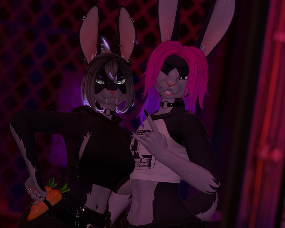 stupid fucking bunny with her slightly more stupid fucking sister