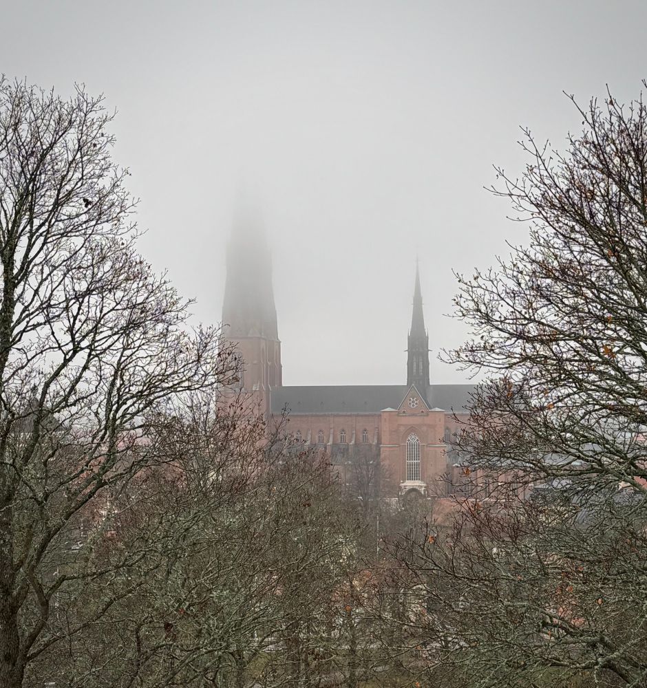 A photo of a large red brick cathedral in heavy mist that obscures the top half of the towers. The photo was taken from the ramparts of the Uppsala Castle, about 400 meters away. Some large leafless trees frame the view on both sides of the cathedral. 