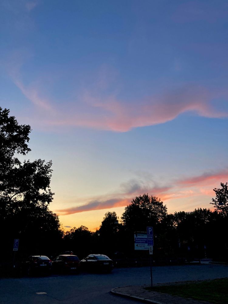 A photo of mainly the sky and a bit of a parking lot. The sky has some lingering sunset colors and a few pink clouds. Trees are silhouetted against the sky, and the roofs of a few cars reflect the light from the sky. 