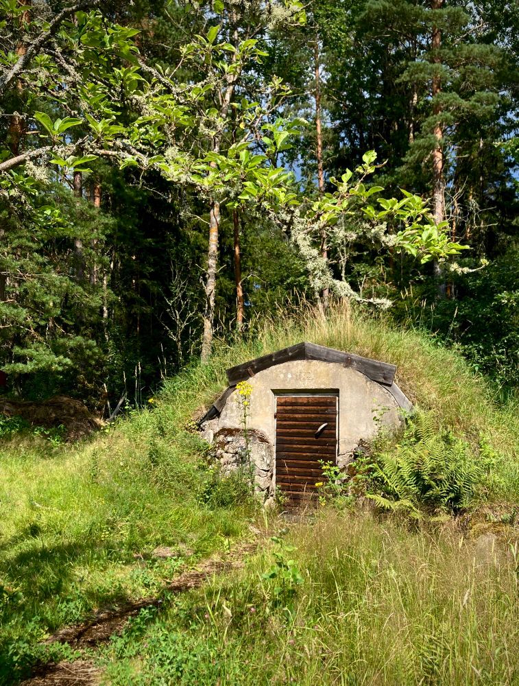 A mound covered in tall grass. The front side of the mound is a concrete wall with a wooden door, suggesting it’s man made and covered with soil and grass. A narrow path leads to the door through more tall grass, and there’s a fern growing next to the door. There’s a conifer forest in the background and a tree branch hanging in the foreground. 