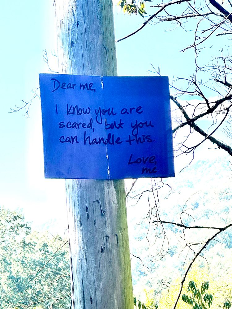 Sign on street pole that says: 
Dear me, 
I know you are scared but you can handle this. 
Love, me