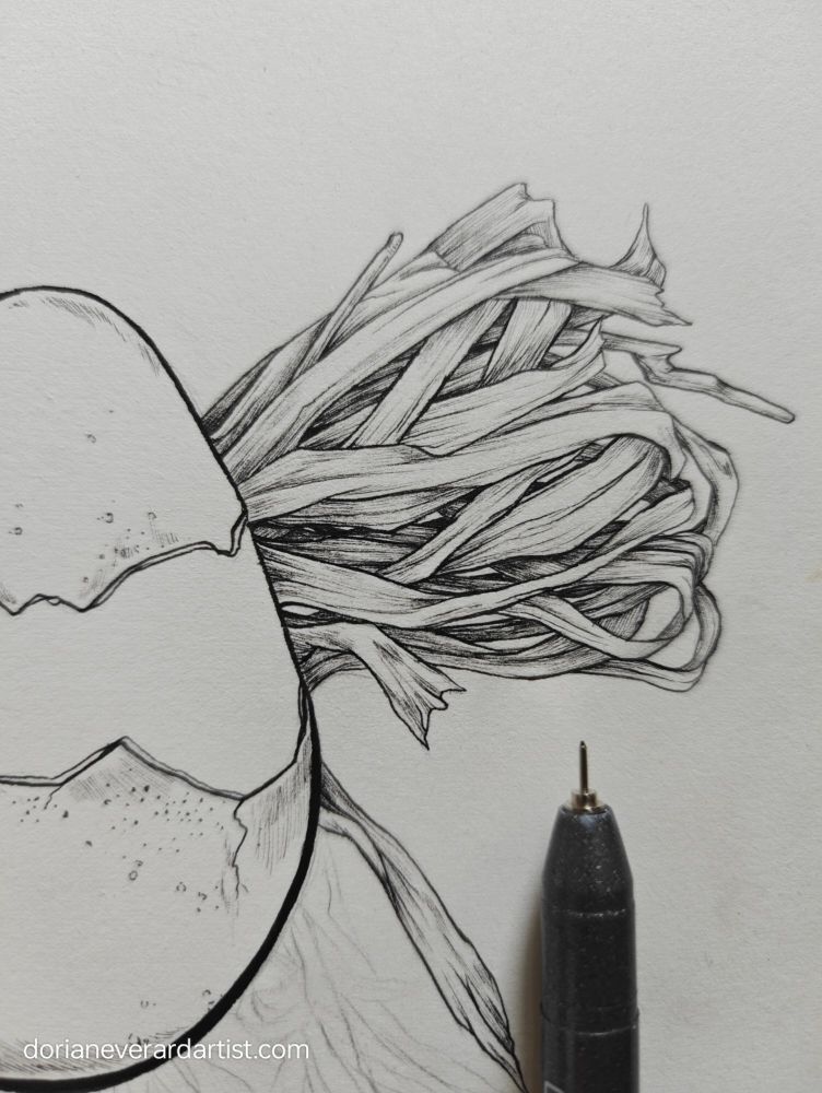 A close up photo of a drawing done in black pen, unfinished. In the drawing, a cracked egg is to the left and the focus is on a cluster of detailed dried grass which is fully rendered. Dorians included the pen he's been using into the picture which has a very fine tip.