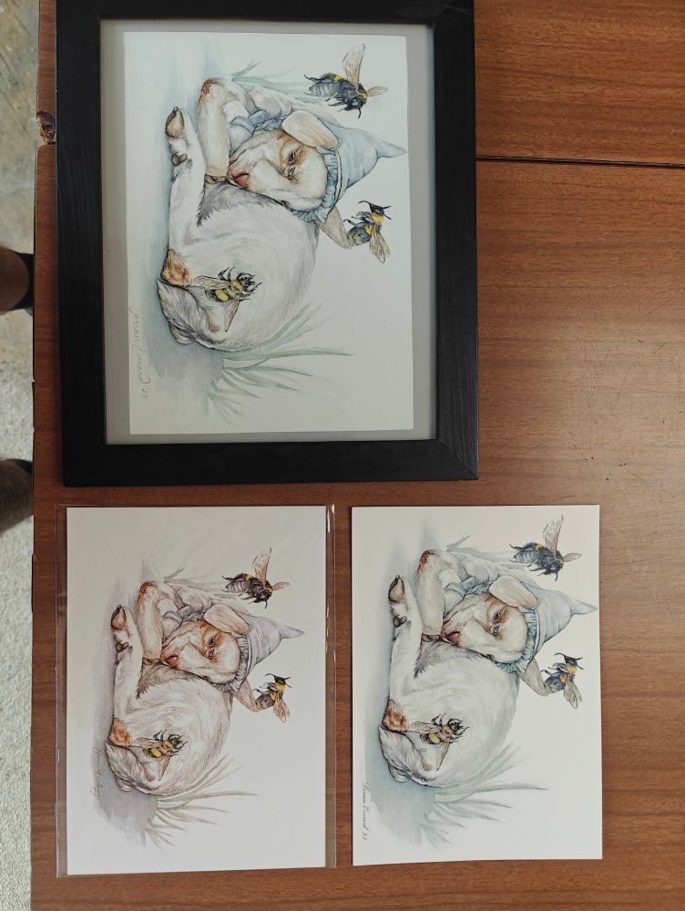 An image showing the difference between two versions of the same artwork in print. A framed original is above, one on the right is the new version and one on the left is the old version, which has colours that are noticeably not as similar to the original as the new version.