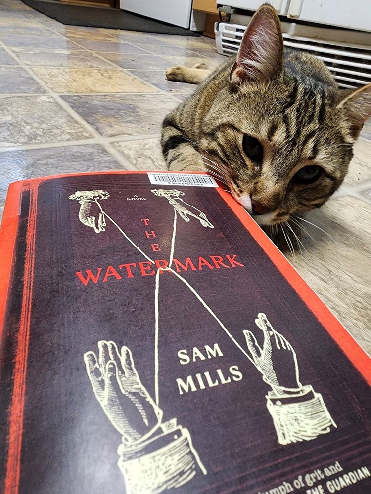 Brown tabby cat next to the book The Watermark by Sam Mills.