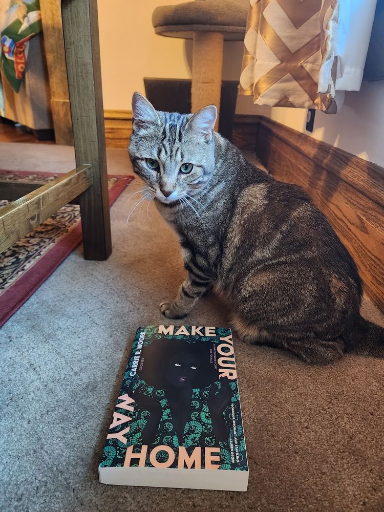 Brown tabby cat next to the book Make Your Way Home by Carrie R. Moore.