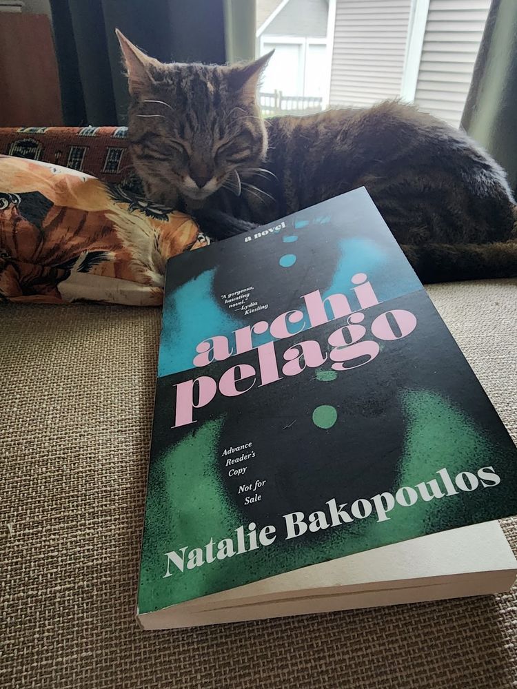 Tabby cat sleeping next to the book Archipelago by Natalie Bakopoulos.