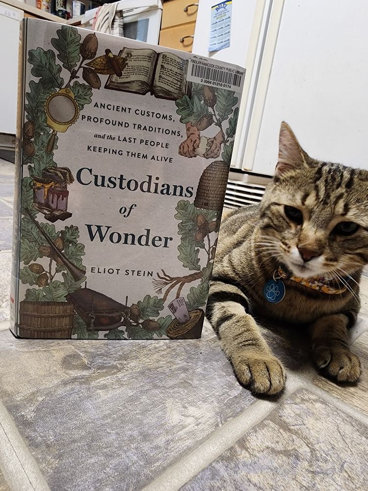 Brown tabby cat next to the book Custodians of Wonder by Eliot Stein.