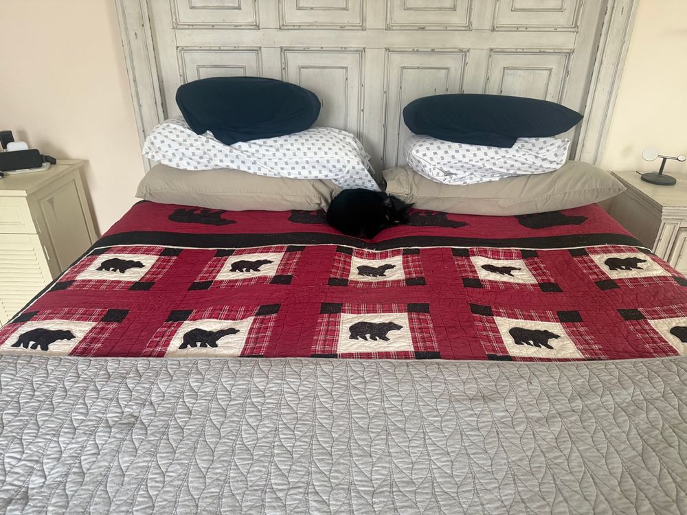 Small black kitty sleeping in the middle of the bed.  