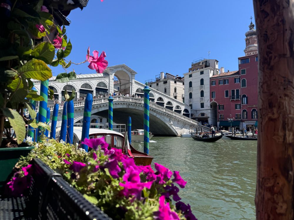 Rialto bridge in Venice