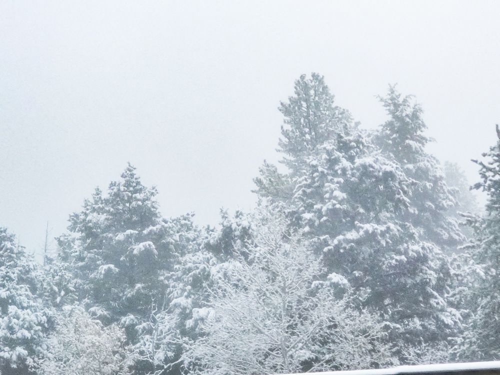 Snow or rime