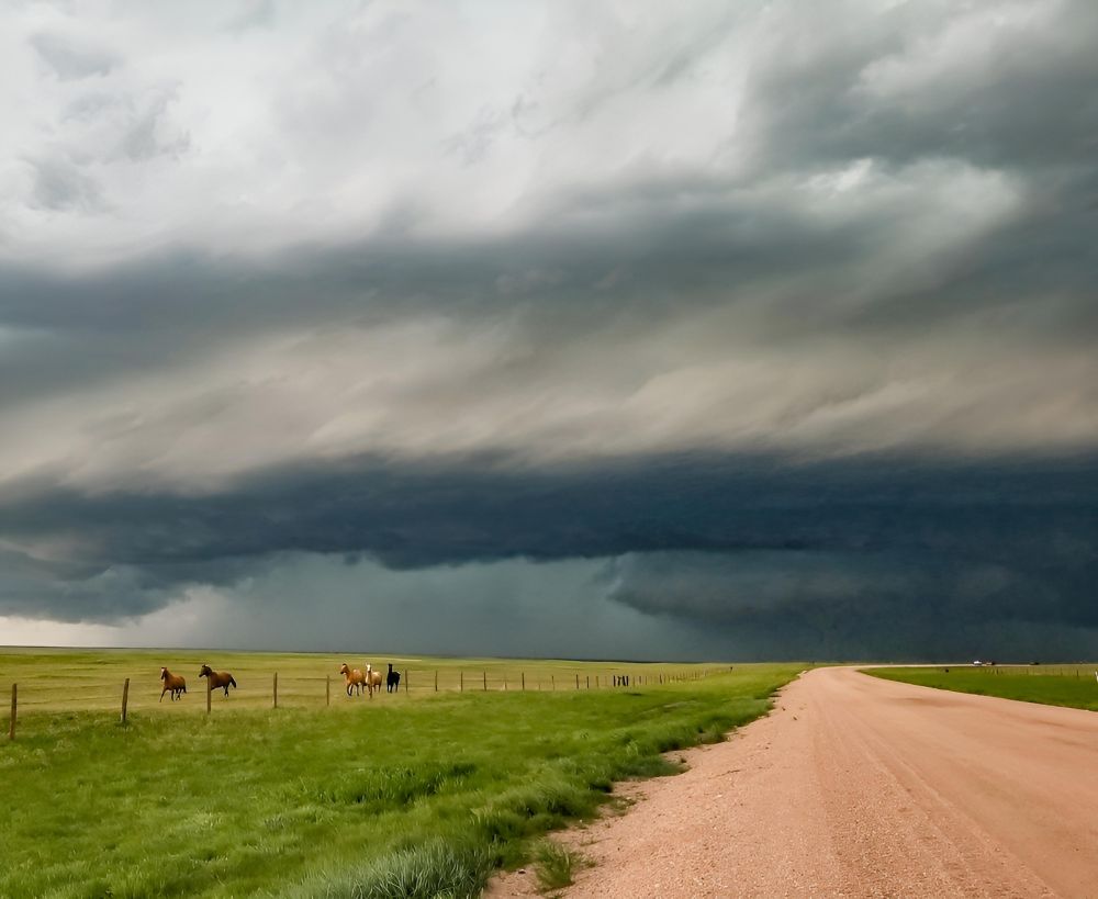 Horses and a multi vortex tornado in the background