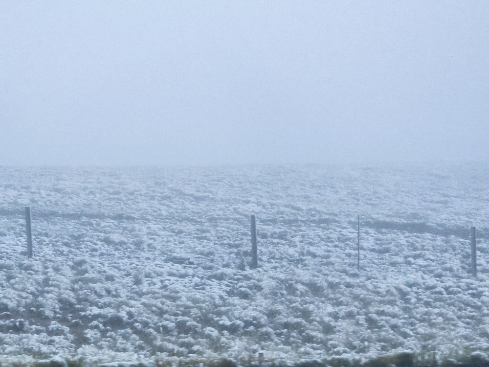 Snow or rime