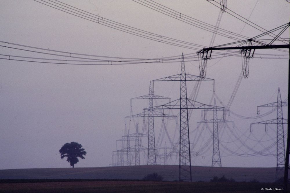 Lone tree at dusk dwarfed by power lines and masts. Technological pollution.
