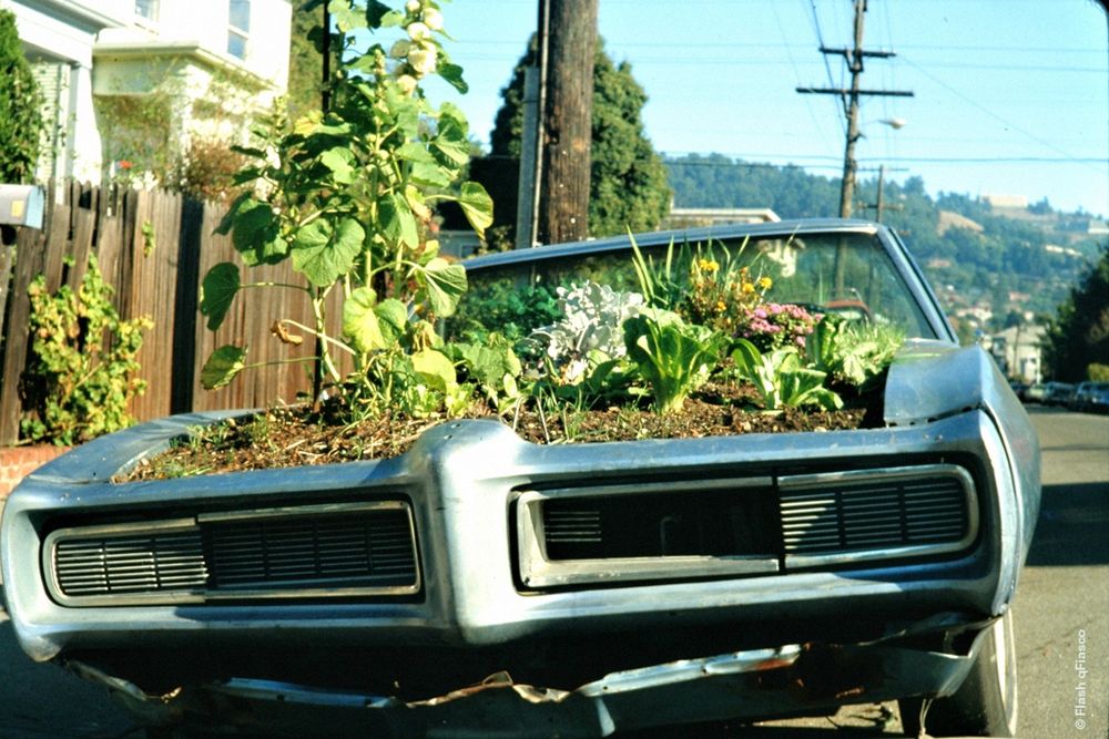 A used car turned into a flower planter, Berkeley Calif.