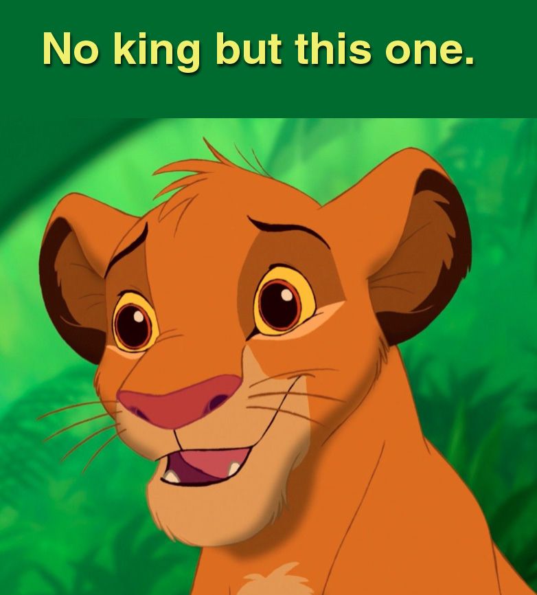 no king but this one: Disney's Lion King. Kings should be fictional and cute.