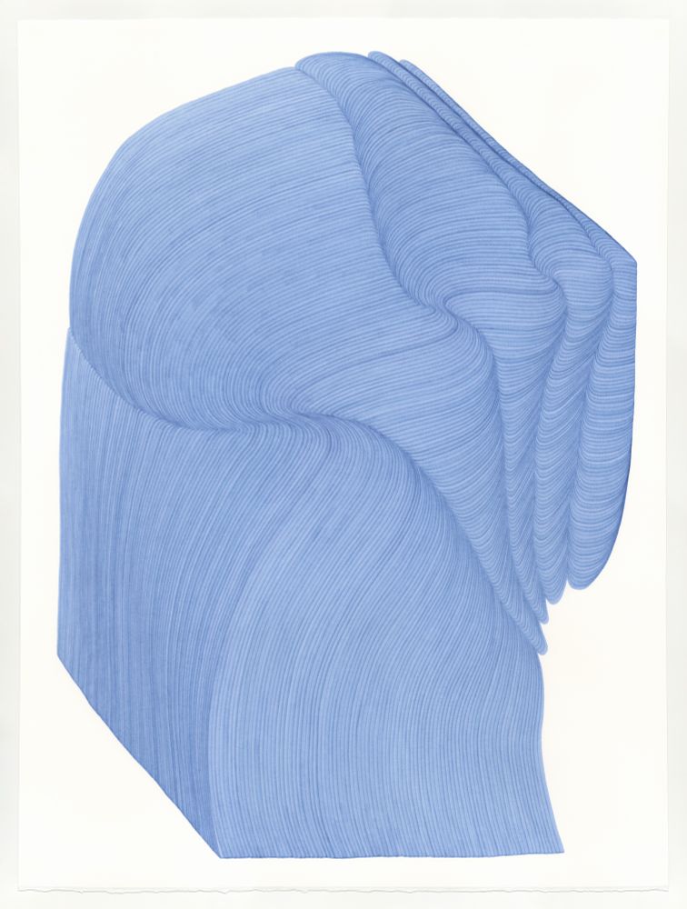 Lines 215, 2024
pigmented ink on 300 lb hot press watercolor paper
40 x 30 in (101.6 x 76.2 cm)