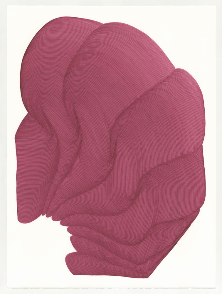 Lines 219, 2024
pigmented ink on 300 lb hot press watercolor paper
40 x 30 in (101.6 x 76.2 cm)