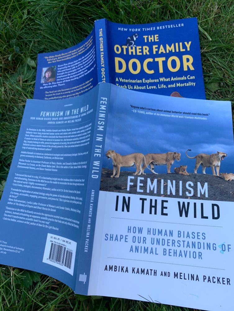 Book covers splayed open stacked on top of each other with Feminism on the Wild on top and The Other Family Doctor beneath. On grass.