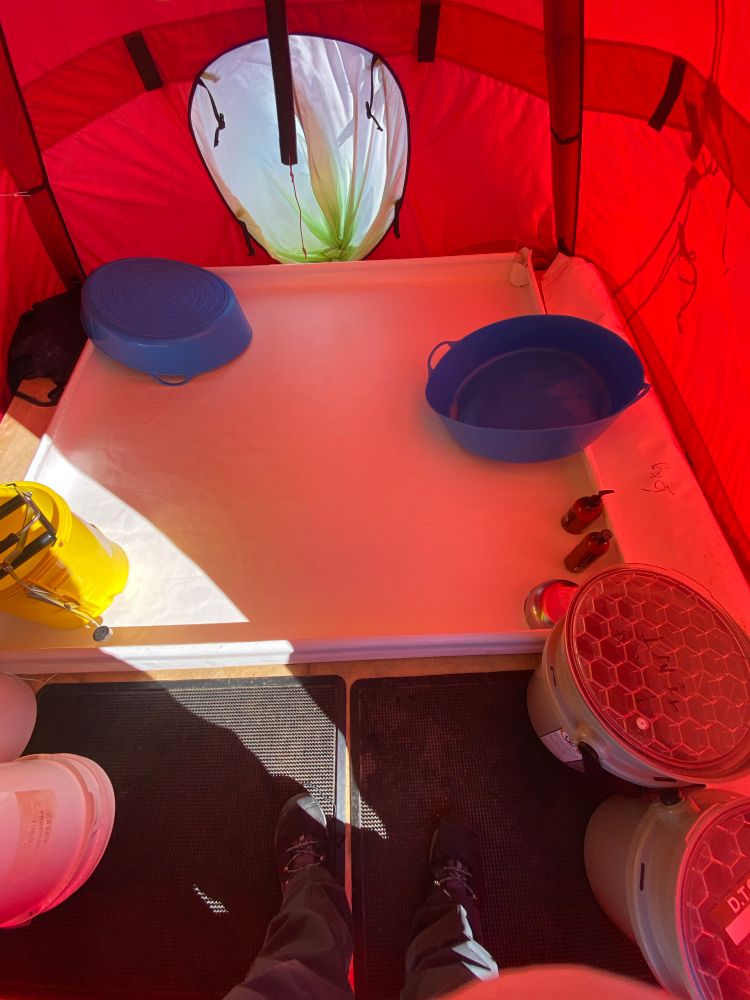 A red and yellow polar pyramid tent with white bunding on the floor. There are 2 bright blue tubs in the bunding along with bottles of shampoo and conditioner and washing water buckets 