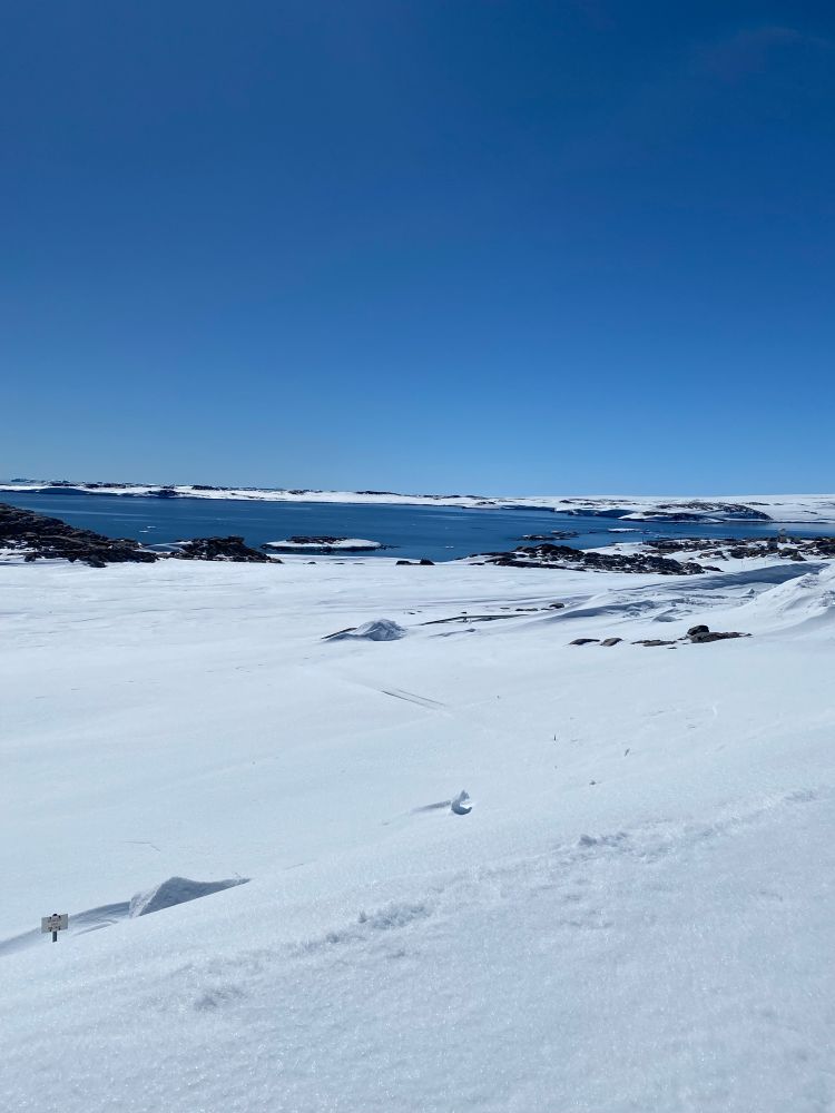 A bright bluebird Antarctic day. The sun is shining, there’s no clouds in the sky and the sun is glowing bright white. The water in the bay is shimmering a rich blue. This is the view from Casey station over Newcombe Bay 