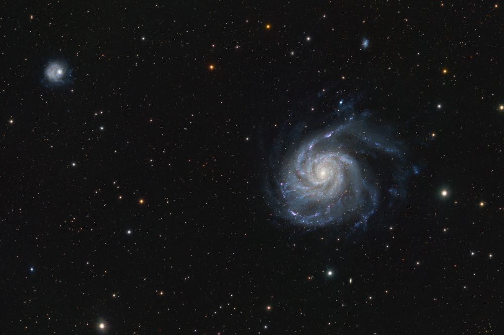 Over my recent trip to Washington and Oregon (including the Oregon Star Party) the skies were cloudy at least half the time, and this time of year the nights are REALLY short up there.  I like to collect a lot of photons from each target, so in this case I completed just 1 image; M101, the Pinwheel Galaxy.

This was done with a William Optics FLT-132 telescope (with 0.8X reducer) and QHY268m camera, which means that the field of view is much larger than most galaxies, so I chose the biggest one (after Andromeda).  It would have been somewhat larger if I had not used the 0.8X reducer, but this device also provide field flattening, which is essential.

After discarding numerous bad frames, this image includes about 12 hours of exposure (over 5 nights).

M101 is about 21 million lightyears from Earth, in the constellation Ursa Major.  Its diameter is more than double that of the Milky Way at 250,000 lightyears, and it contains about 1 trillion stars.
