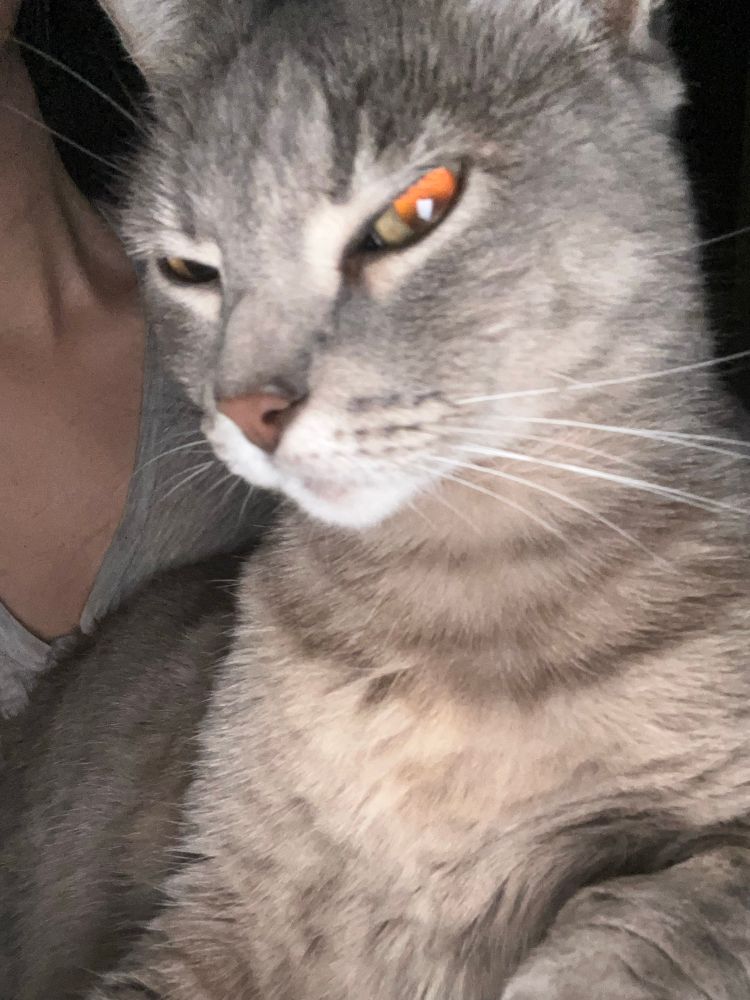 Ashley with a camera flashing in her face, resulting in her squinting— only the squinting ends up looking more like a very angry glare.