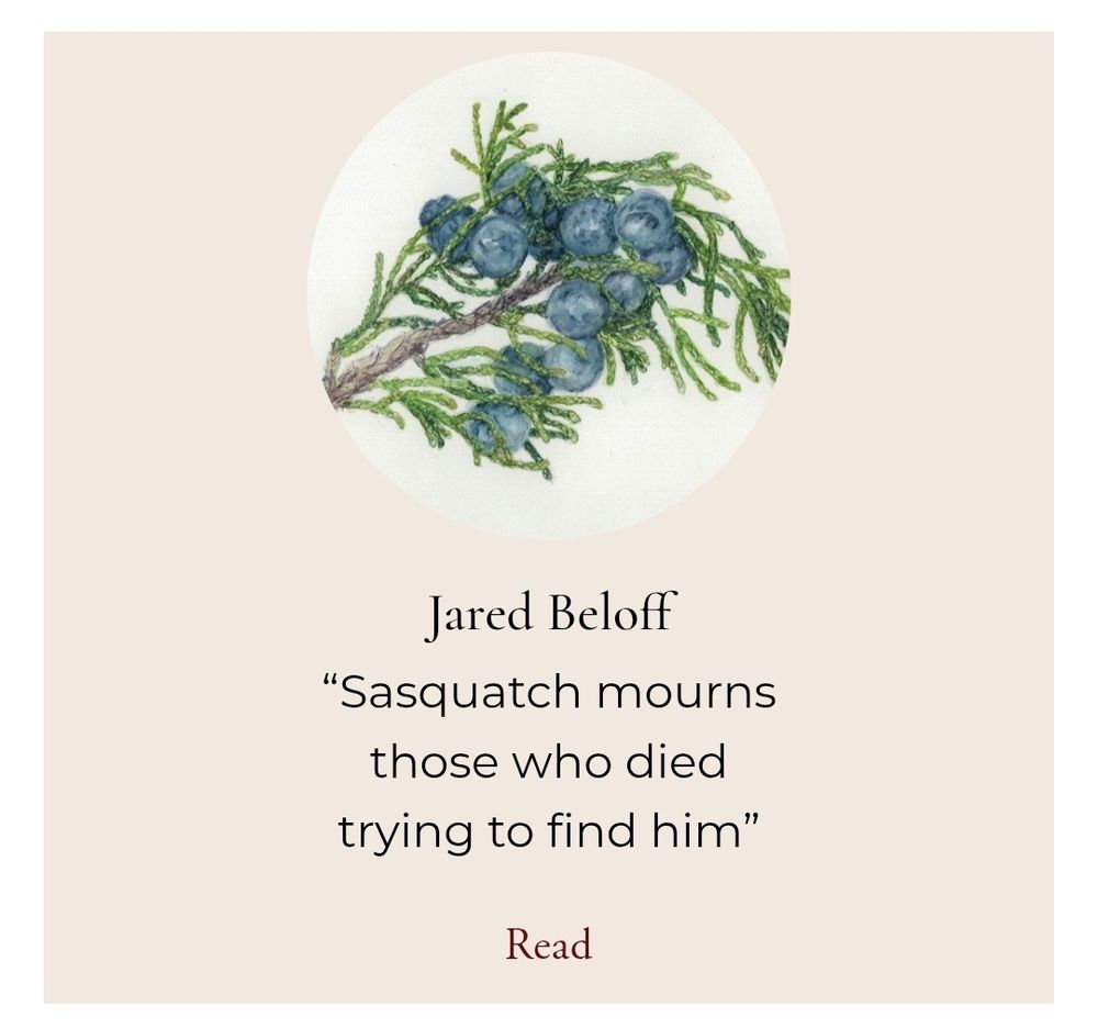 A sprig of blueberries and the words Jared Beloff "Sasquatch mourns those who died trying to find him"
