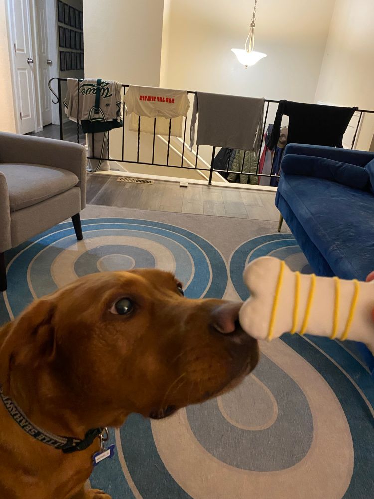 Marvel’s 5th birthday