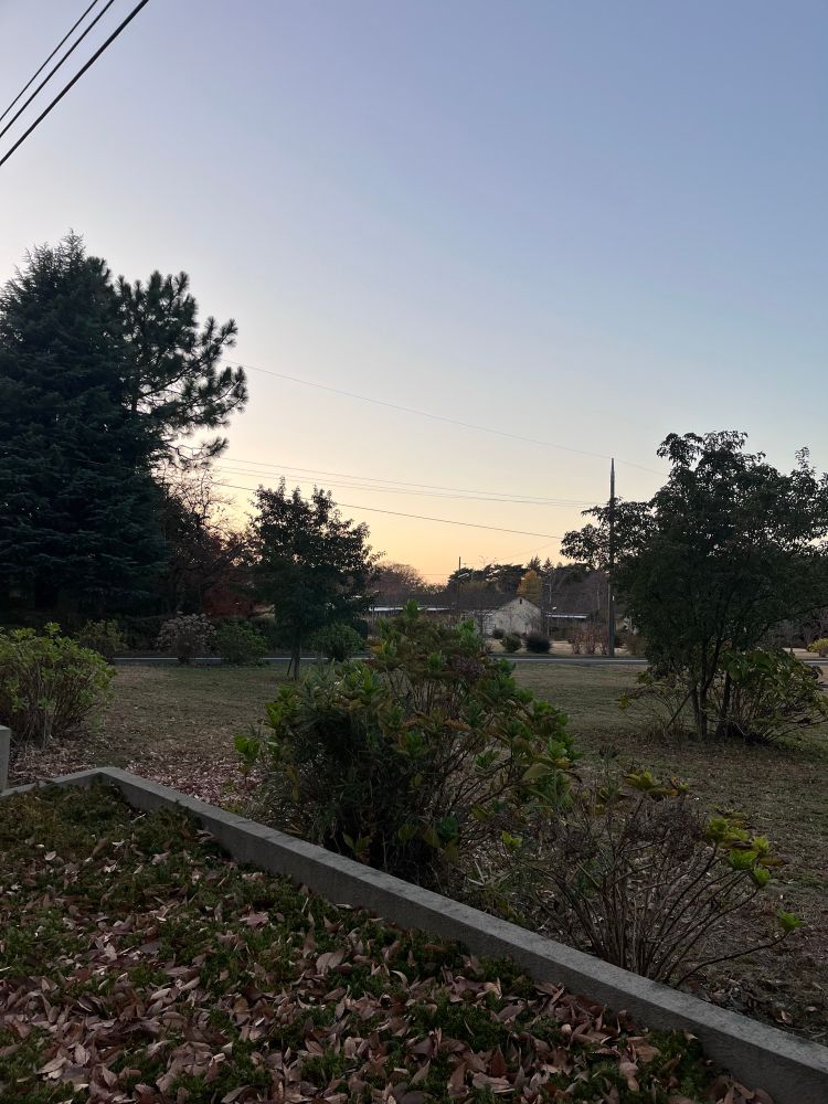 夕暮れの全生園