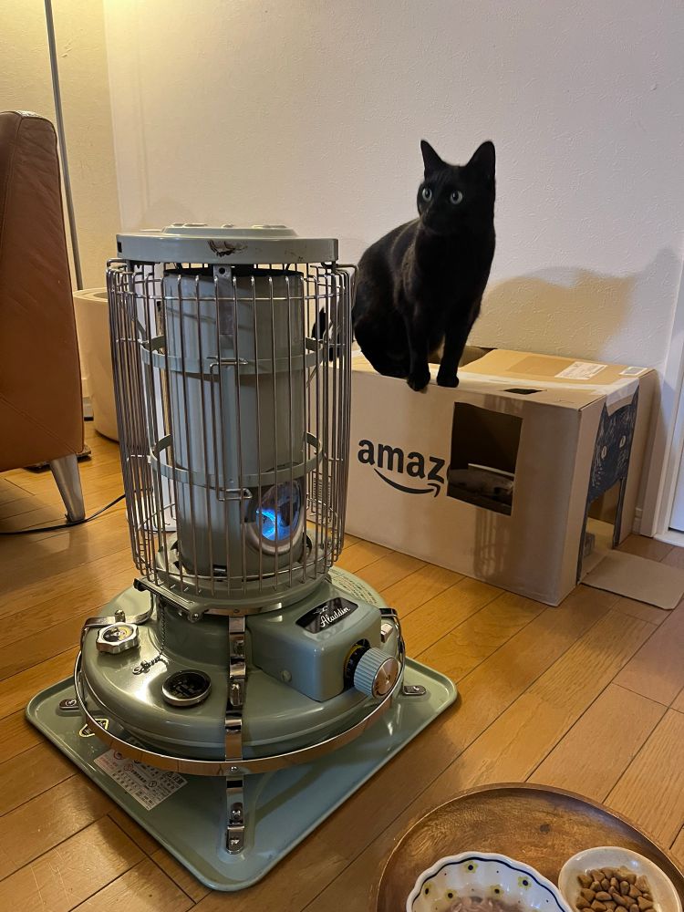 灯油ストーブを見つめる黒猫（じゅうちゃん）