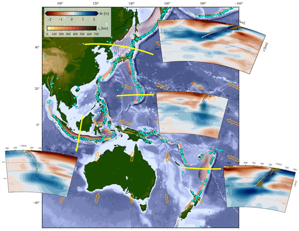 The figure shows sections of P-wave tomography anomalies along the yellow lines on the map (Fukao & Obayashi, 2013), seismicity (orange dots on profiles; Engdahl et al., 1998), plate velocities (orange vectors; Argus et al., 2011), and volcanoes (cyan inverted triangles; Siebert & Simkin, 2023).  The Western Pacific and Japan subduction zones (the two most northerly zones) do not appear to penetrate the lower mantle, unlike those of Indonesia and Kermadec (north of New Zealand).  Whether a slab penetrates the lower mantle depends on factors such as the duration of subduction and the angle at which the slab reaches the 660-km discontinuity, with steeper angles favoring descent.

Becker, T and Faccenna, C. (2025), Tectonic Geodynamics, Princeton University Press