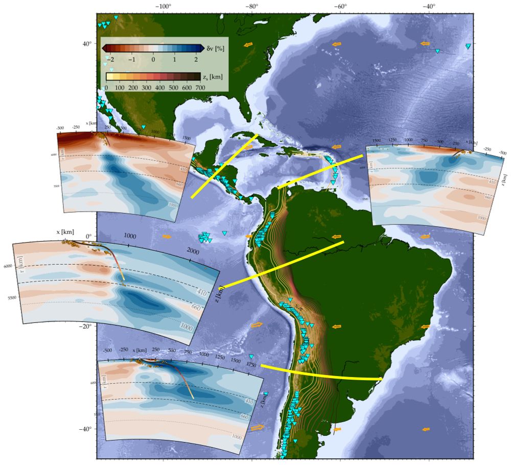 Subduction zones along the west coast of the Americas.  In the podcast, Faccenna described how the slab subducting below the Andes has entered the lower mantle where its lateral movement is restricted by the higher viscosity there.  The subduction zones beneath northern South America and Central America show evidence of penetration into the lower mantle, reaching depths of 1,300 km or more.  By contrast, the younger Caribbean subduction zone does not. 

Becker, T and Faccenna, C. (2025), Tectonic Geodynamics, Princeton University Press