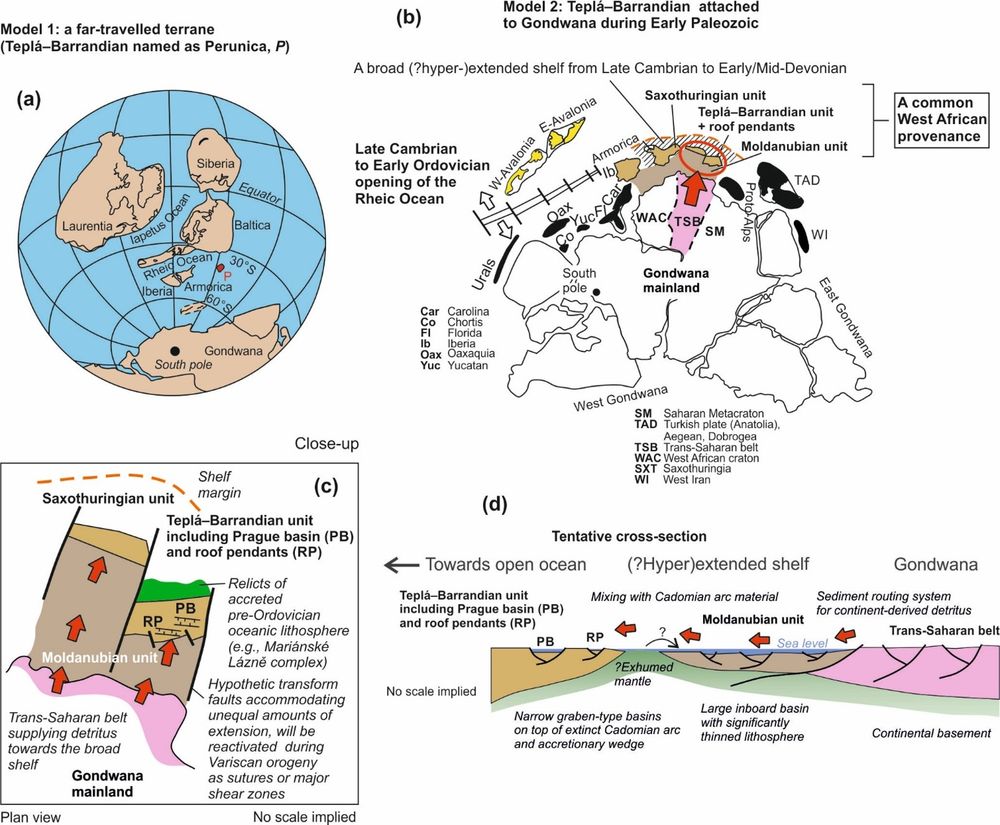 There is a debate as to how far the Cadomian terranes, specifically the major Teplá–Barrandian unit of the central Bohemian Massif, traveled away from Gondwana before they accreted to Baltica, eventually to become part of Europe.  These figures illustrate contrasting models that have been proposed.  (a)  In this model there is a large separation between the Teplá–Barrandian unit and Gondwana, and the unit forms a completely detached microplate called Perunica (P).   (b)-(d) In these models, there is little separation, and the Teplá–Barrandian unit remains part of the hyper-extended Gondwana shelf. 

Žák, J et al. (2018), International Geology Review 60, 319
