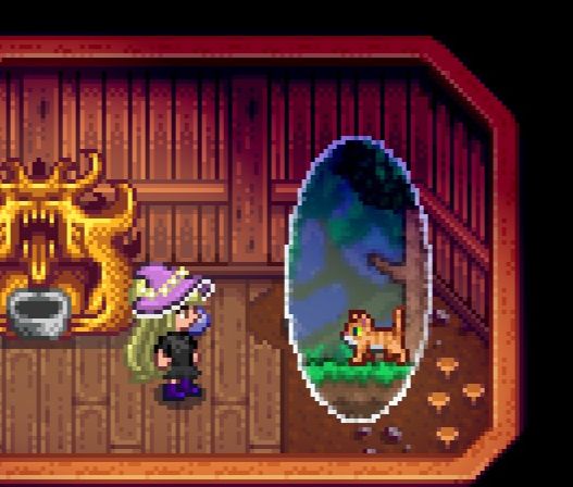 Seeing a cat in a portal - Stardew Valley
