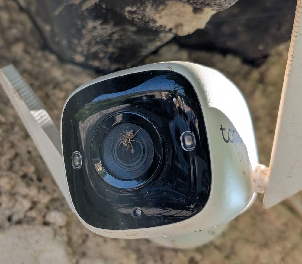 Una arañita diciendo hola en la lente de la cámara de seguridad 