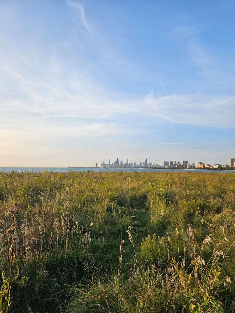Chicago skyline 