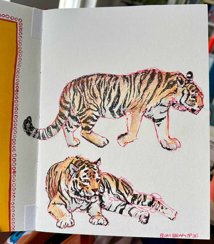 Drawing illustration two tigers, red pen sketch, black ink stripes, colored pencil fur 