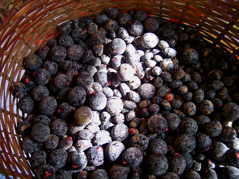 um cesto de vime repleto de frutos escuros arredondados. Os frutos parecem ter uma cobertura levemente empoeirada, com leves variações de tonalidade. O cesto está quase cheio e os frutos estão bem próximos uns dos outros.
Foto de Junior Oliveira/Flickr