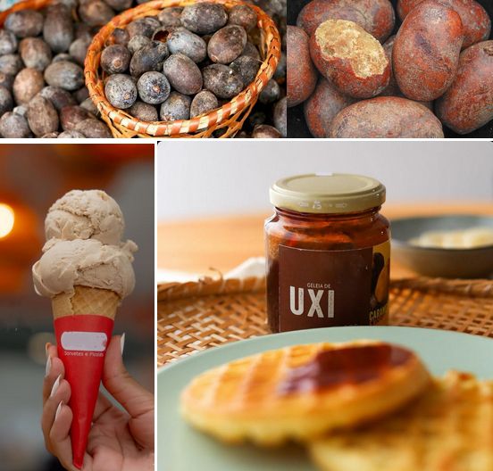 uma colagem de quatro imagens apresentando o fruto uxi e alguns de seus derivadosi. As duas imagens superiores exibem, à esquerda, uma grande quantidade de uxis dentro de um cesto de vime e fora dele tb, e, à direita, alguns uxis com um deles parcialmente descascado, exibindo uma polpa texturizada. As duas imagens inferiores mostram, à esquerda, um sorvete de uxi em casquinha, e à direita, um pote de geleia de uxi ao lado de um prato com dois waffles com geleia sobre um deles

📸 oficinadeervas.com.br
📸 Whaldener Endo
📸 blaussaolui
📸 flordejambu.com
