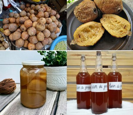 uma colagem de quatro fotografias. O canto superior esquerdo mostra vários jenipapos, frutos arredondados na cor castanho claro, amontoados em uma banca de feira. A segunda imagem, no canto superior direito, exibe três frutos em um prato, um deles cortado ao meio. No canto inferior esquerdo há um pode de vidro contendo jenipapo em compota, e a última foto, no canto inferior direito, mostra três garrafas de licor feito com a fruta, rotuladas como "licor de jenipapo". A imagem retrata um processo caseiro, desde a matéria-prima até o produto final.

📷 Yuma Salsero
📷 Alex Popovkin
📷 docesmineiro.com
📷 Receitas práticas (youtube)