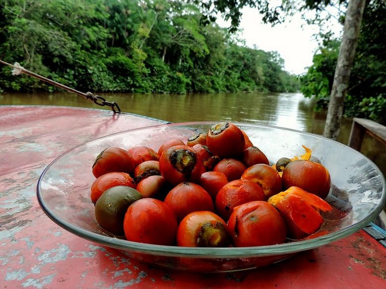 A imagem mostra um prato de vidro cheio de frutos arredondados e vermelho-alaranjados. O prato repousa sobre uma superfície vermelha desgastada, que parece ser o convés de um barco. Ao fundo, uma floresta tropical verdejante margeia um rio calmo. 
Foto de Kristiana Matos/flickr