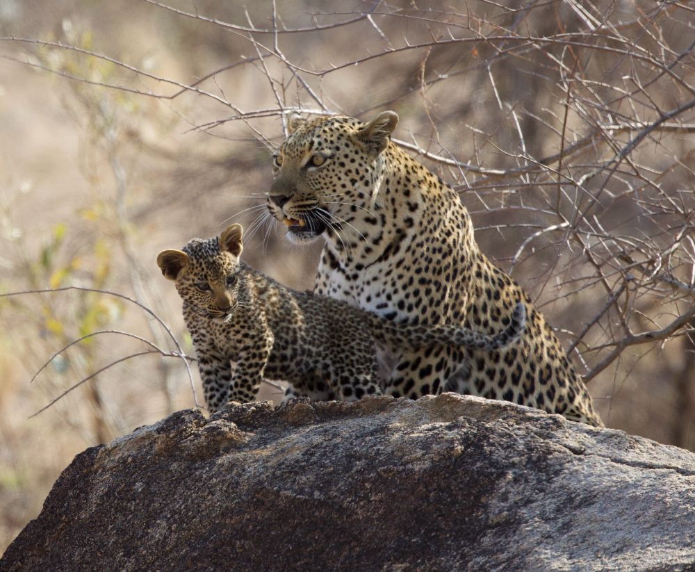 Picture by Tony Fothergill, October 2024

