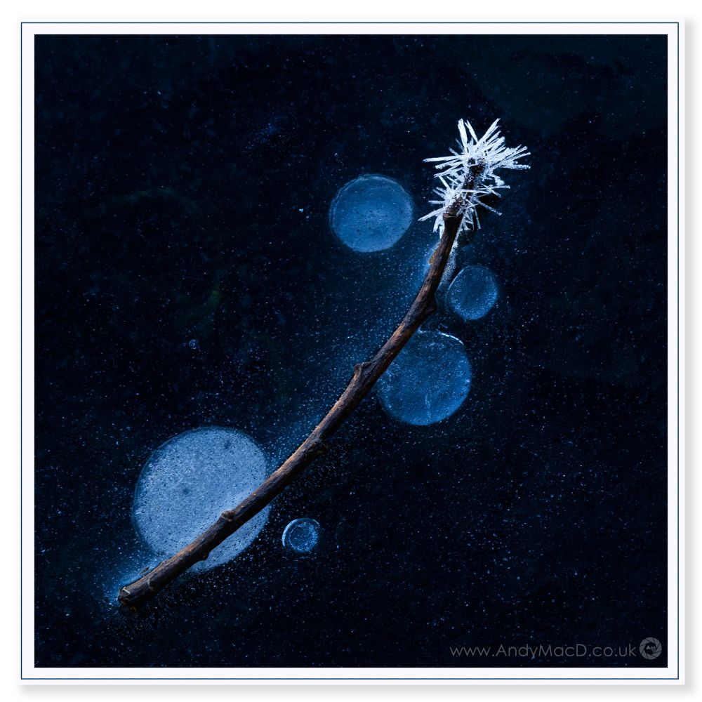 A frozen twig on the surface of a reservoir - a wee sprig of frost on it's tip. Magic.