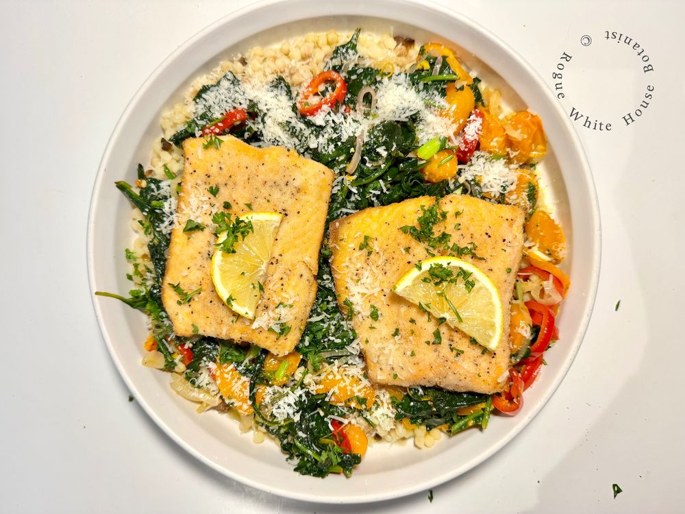 The finished dish on a round white serving plate: two pieces of sautéed wild mountain trout with lemon slices, sitting on a platter of sautéed spinach and veggies, and Italian Fregola Sarda as the pasta base. Dusted with grated parmigiano reggiano. 
